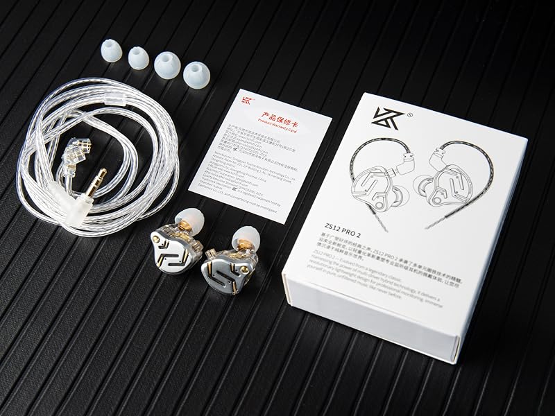 zs12 pro 2