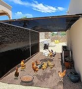 shade cloth for chicken coop