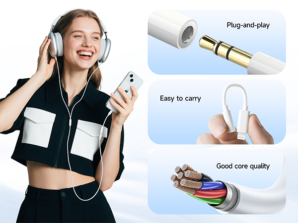 iphone aux adapter
