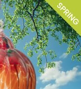 Hummingbird Feeder With Camera