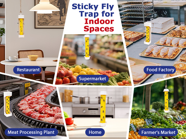 fly traps outdoor
