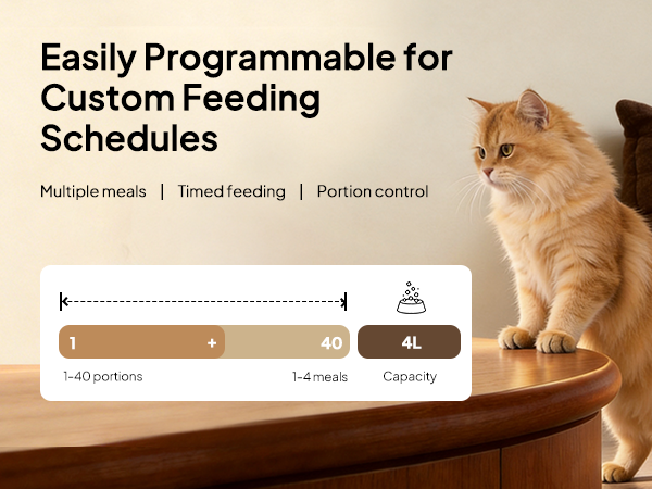 Automatic Cat Feeders