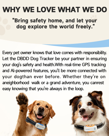 ai dog tracker