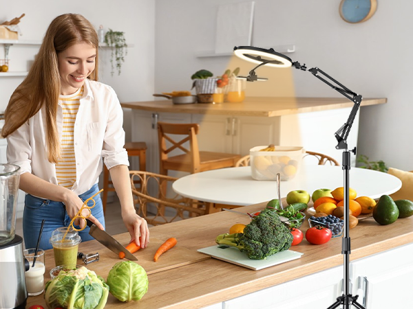 overhead phone mount with light