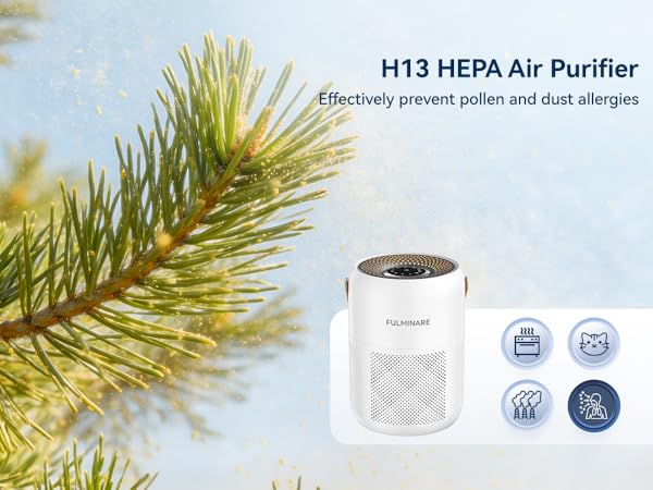 hepa air purifier