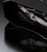 night vision goggles