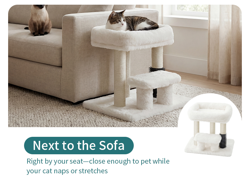 Cat Scratching Post
