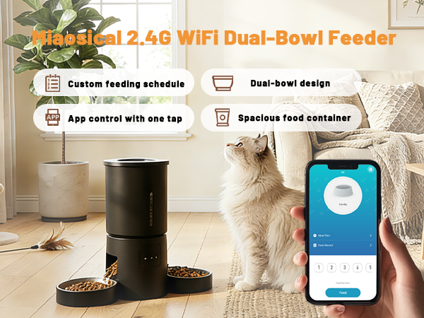 auto feeder cat food