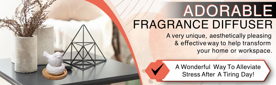 ADORABLE FRAGRANCE DIFFUSER – A very unique, aesthetically pleasing &amp; effective