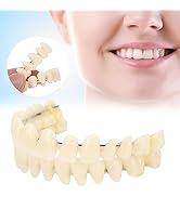 ZJchao 280pcs/10 Set Resin Denture False Teeth, Teeth Teaching Model, Resin Denture for Patients ...