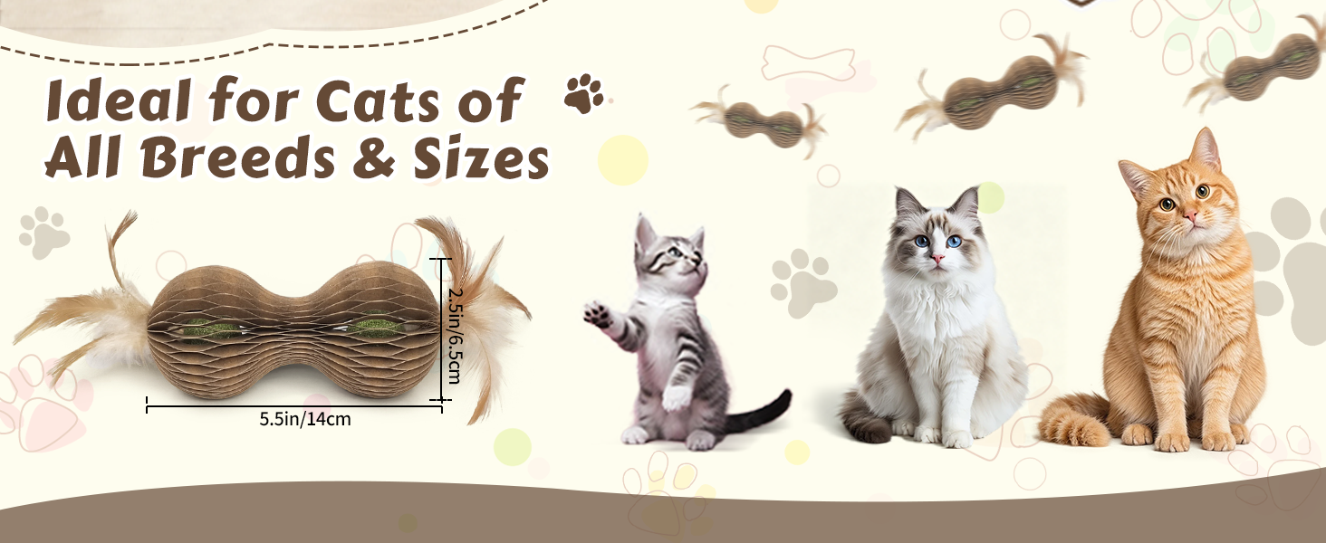 feather toys for kitten