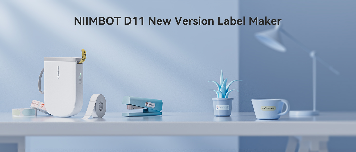 d11h
