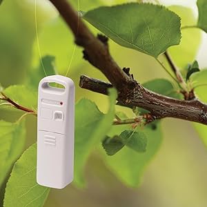 Wireless Thermometer