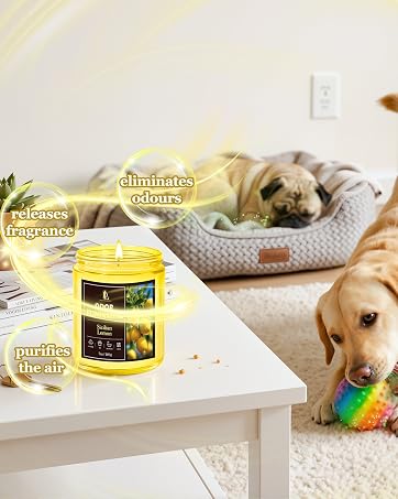 https://m.media-amazon.com/images/S/aplus-media-library-service-media/7aade84a-bdbf-4536-9e41-6b54d1d57d42.__CR16,0,1279,1600_PT0_SX362_V1___.jpg