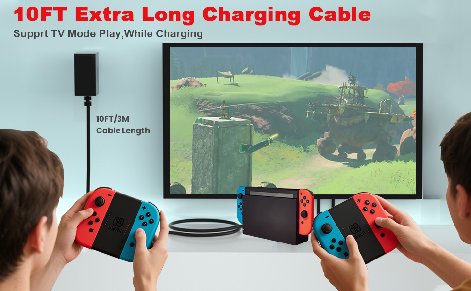 10ft charger for Nintendo switch