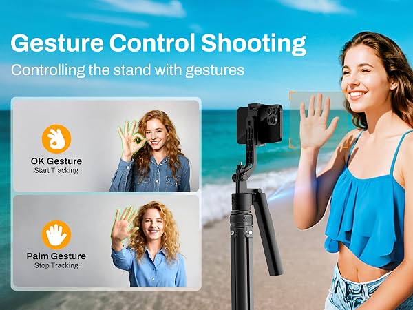 Gesture Control