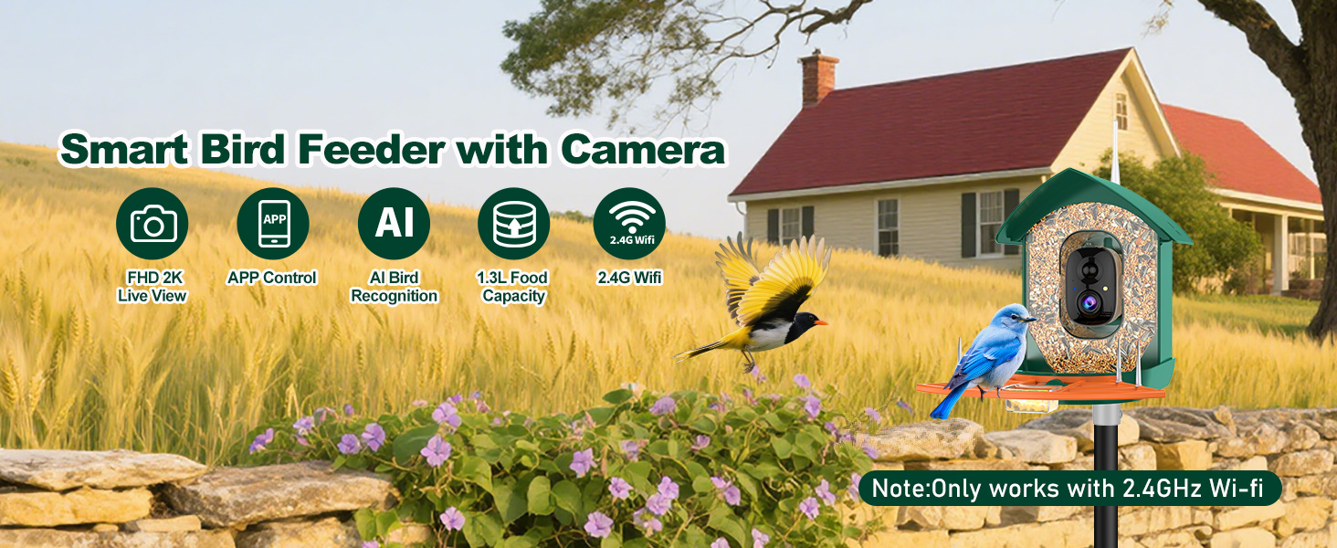 bird feeder with camera orange