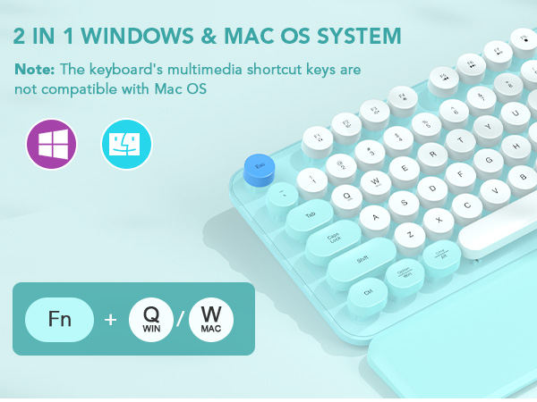 2 IN 1 WINDOWS &amp;amp;amp; MAC OS SYSTEM