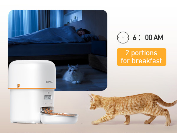 automatic cat feeder automatic cat food dispenser
