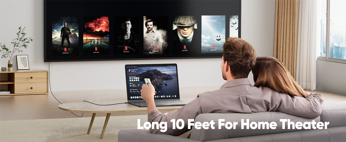 DisplayPort Cable 1.4 10Ft