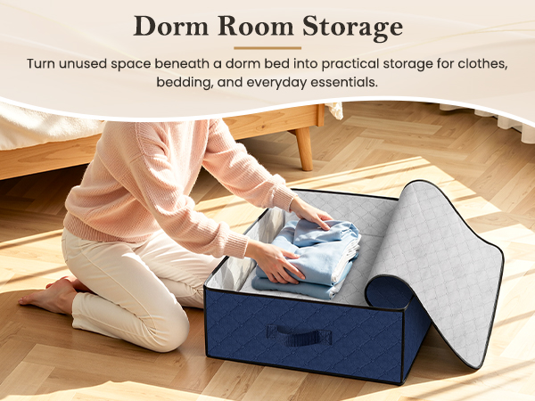 Dorm Room Storage