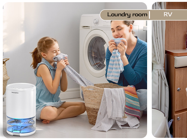 dehumidifier