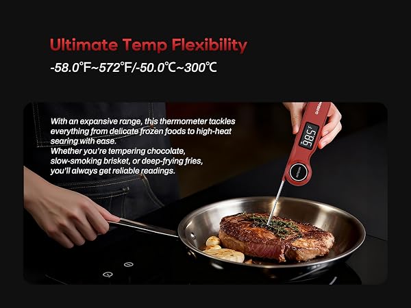 digital food thermometer