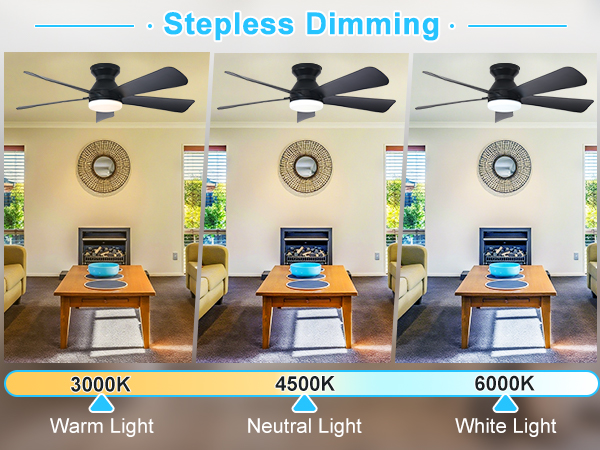 ceiling fan with light