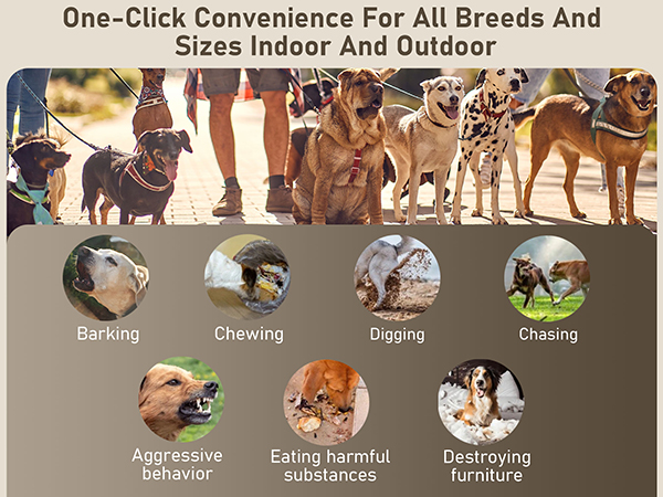 Dog Bark Deterrent Devices