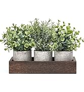 Dahey 3 Pack Mini Potted Artificial Eucalyptus Fake Plants with Wood Tray Centerpiece Table Decor...