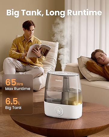 Humidifier for Large Room