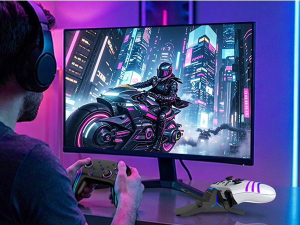 switch 2 pro controller