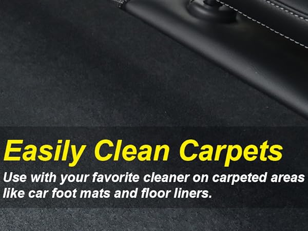Carpet Scrub Brush