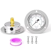 BOGERDACK 0-300PSI Panel Mount Front Flanged Glycerin Filled Pressure Gauge, 2.5" Dial Size, 1/4"...