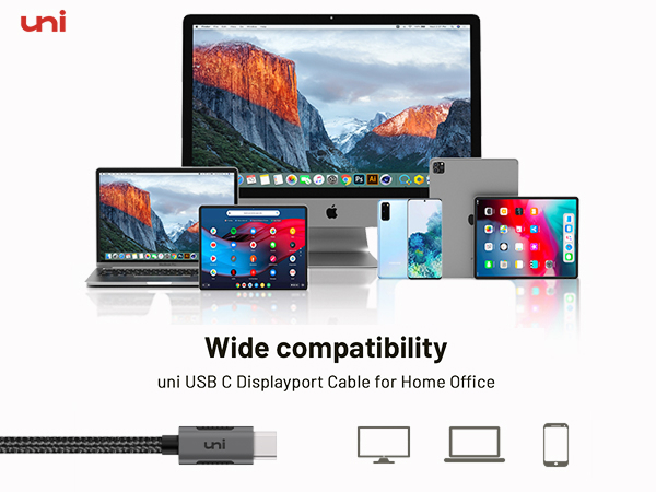 USB C to DisplayPort Cable