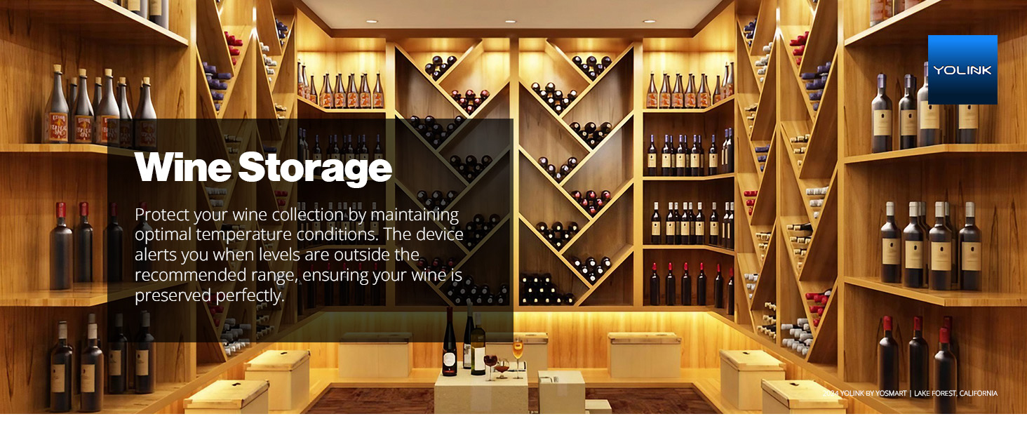 Wine Storage