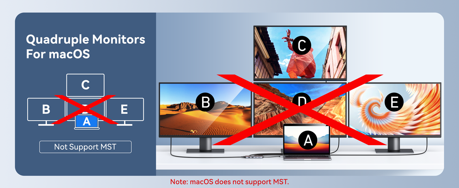 dual displayport adapter