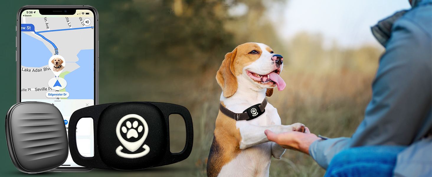 dog tracker