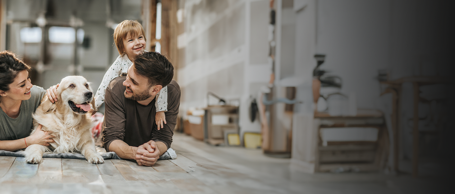 dog dryer dog hair dryer dog blow dryer dog dryers for grooming high velocity dryer for dogs 