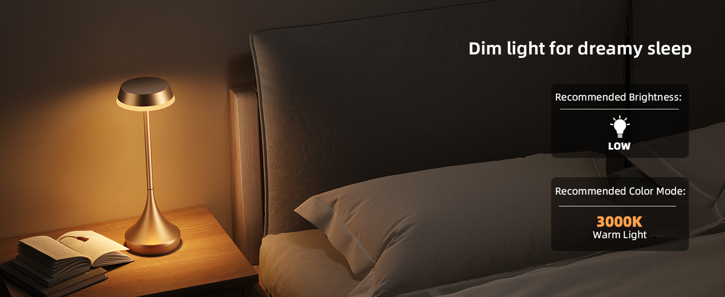 rechargeable touch lamp