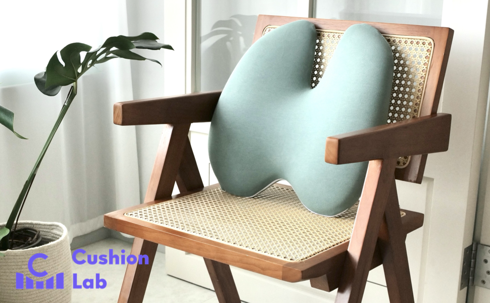 Cushion Lab Back Relief Lumbar Pillo