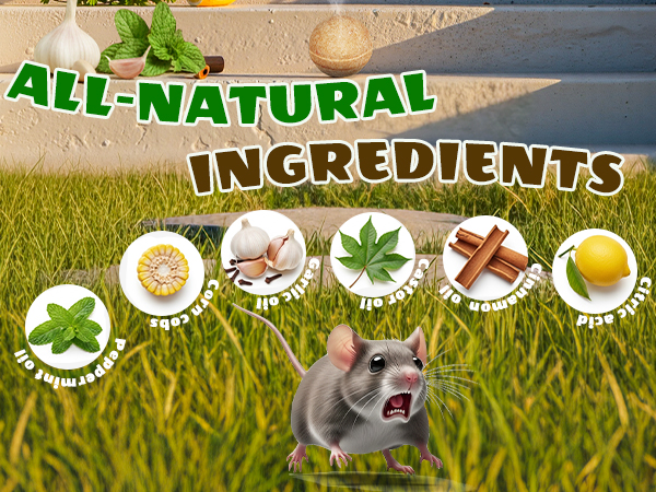 rodent repellent outdoor mice repellent indoor mice repellent outdoor rodent repellent indoor