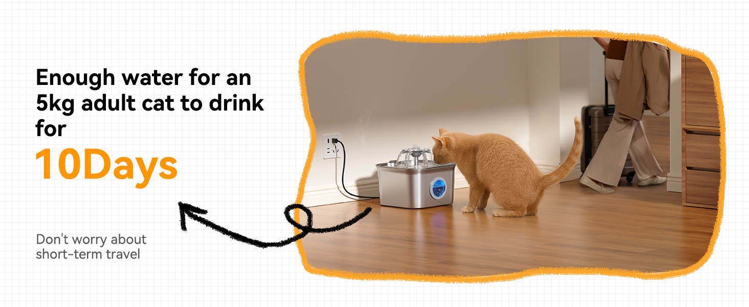 small cat water fountain