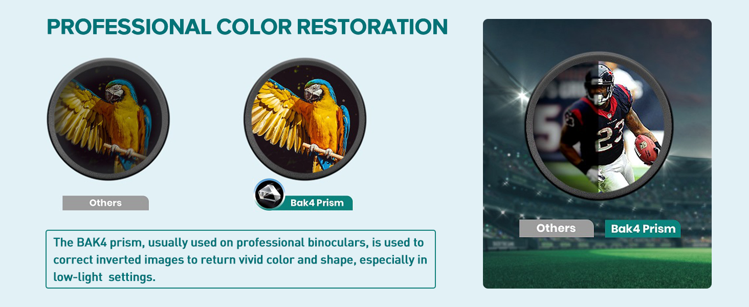 Adasion binoculars with BAK4 low light vision