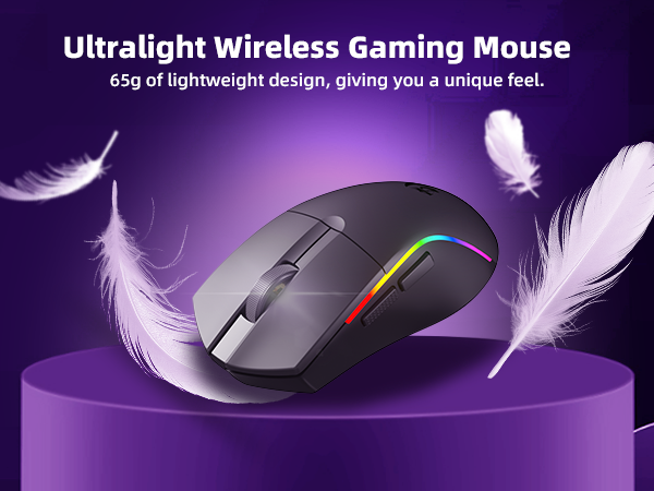Wireless Gaming Mouse