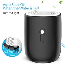 Dehumidifiers for Home