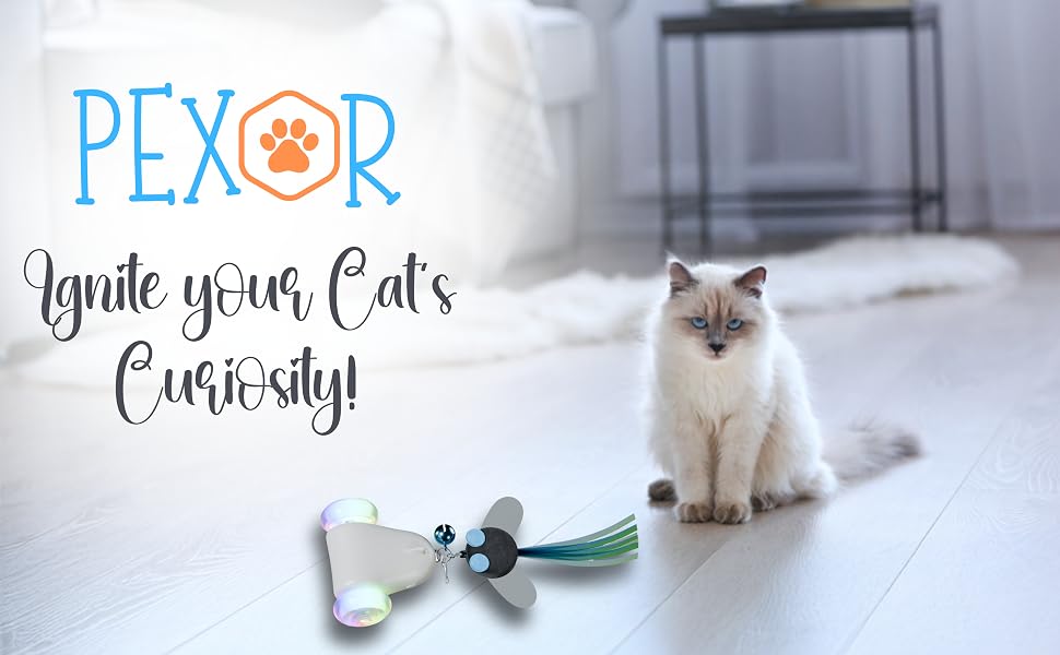 cat toys gifts and accessories for indoor cats cute cat interactive mouse mice toy must haves