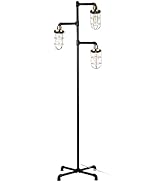 CONCA Steampunk Floor lamp, Industrial Floor lamp, Rustic Edison Light Bulb, cage Shade Floor lam...