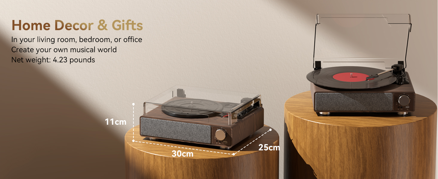 Turntable Audio Sound