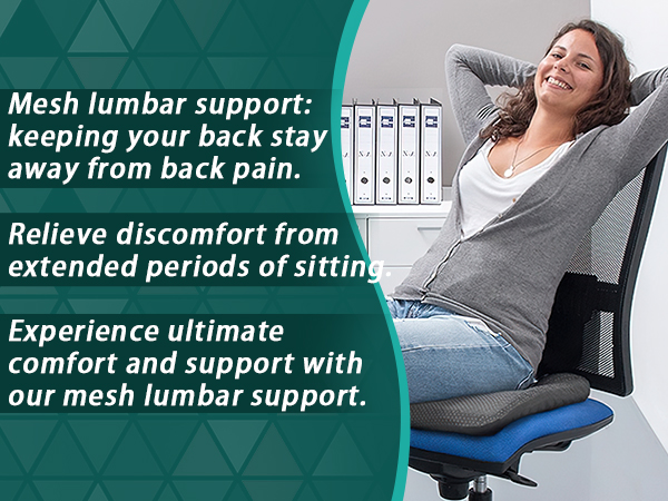 mesh lumbar support